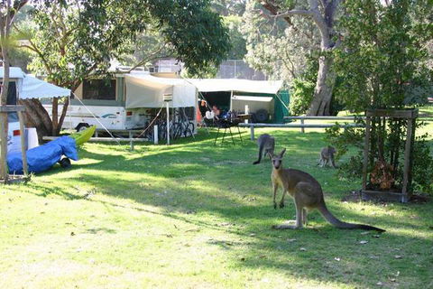 Lakesea Park - Tourism Townsville 8