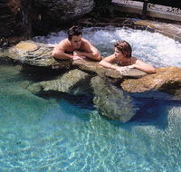 Reef Palms - Tourism Townsville