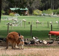 Diamond Forest Cottages and Farm Stay - Tourism Townsville