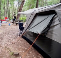 WA Wilderness Catered Camping at Big Brook Arboretum - Tourism Townsville