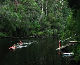 Yeagarup WA Tourism Townsville