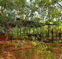 Arnhemland Barramundi Nature Lodge - Tourism Townsville
