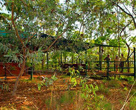 Arnhemland Barramundi Nature Lodge - Tourism Townsville 0