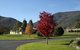 Talbingo Country Club - thumb 0