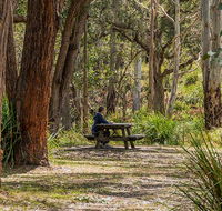 Koreelah Creek campground - Tourism Townsville