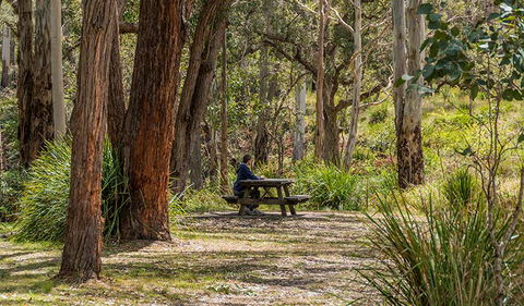 Koreelah Creek Campground - Tourism Townsville 0