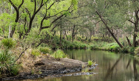 Koreelah Creek Campground - Tourism Townsville 1