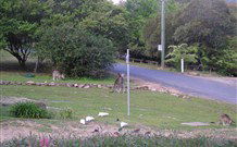 Calurla Chalets And Cottages - Tourism Townsville 2