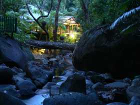Daintree Secrets Waterfall Sanctuary - Tourism Townsville 2