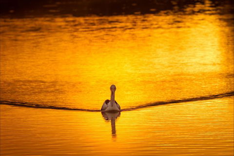 River Shack Rentals - Living The Dream - Tourism Townsville 0
