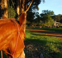 Billa Billa Farm Cottages - Tourism Townsville