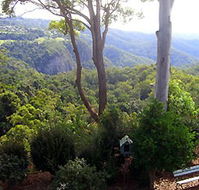 Mt Tamborine Motel - Tourism Townsville