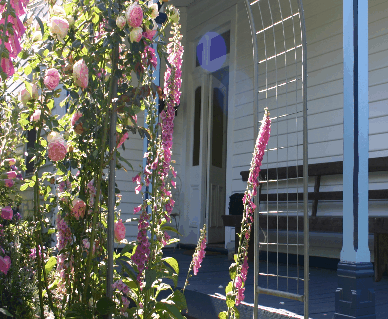 Devonport Bed And Breakfast - Tourism Townsville