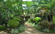 Bay Village Tropical Retreat - thumb 1