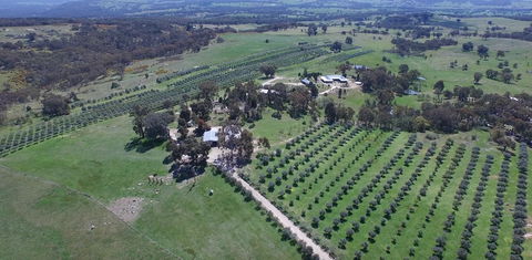 L'Oliveraie - Tourism Townsville 6