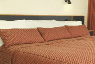 Margarets Forest Holiday Apartments - Tourism Townsville