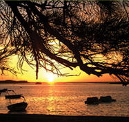 Pelican's Nest - Tourism Townsville