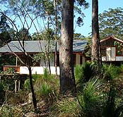 Grass Trees Escape - Tourism Townsville
