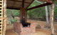 Karri Valley Chalets - thumb 4