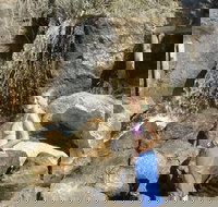 Misty Valley Country Cottages