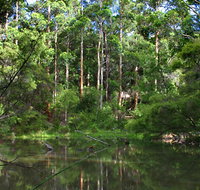 Peppermint Grove Retreat - Tourism Townsville