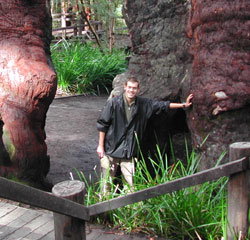 Walpole Lodge - Tourism Townsville 0