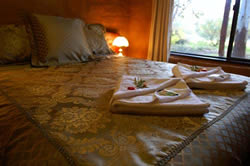 Treenbrook Cottages - Tourism Townsville 0