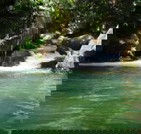 Daintree Secrets Rainforest Sanctuary - Tourism Townsville