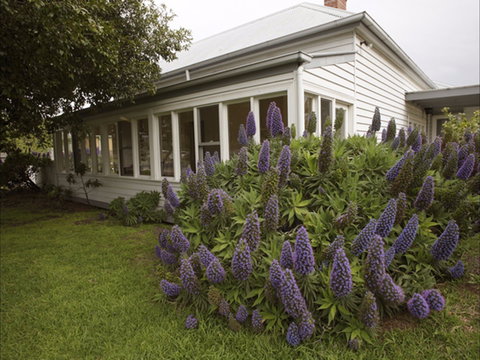 The Lonsdale Palms - Tourism Townsville 1