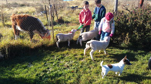 Dairy Park Farm Stay Bed And Breakfast - Tourism Townsville 2