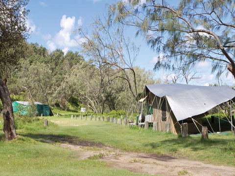 Pebbly Beach Campground - Yuraygir National Park - Tourism Townsville 0