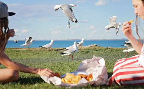 Seafarers Robe - Tourism Townsville 0