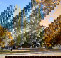 Omeo Caravan Park - Tourism Townsville