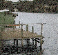 Wrens on Glenelg - Tourism Townsville