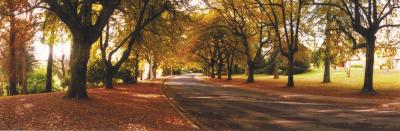 La Trobe At Beechworth - Tourism Townsville 0