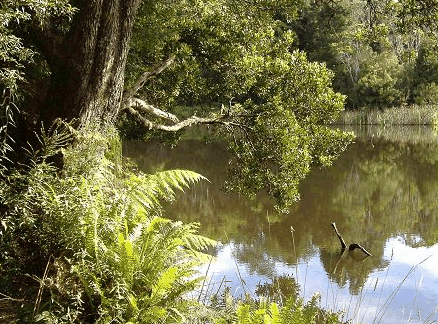  Tourism Townsville