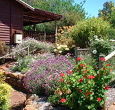 Chestnut Brook Cottage - Tourism Townsville