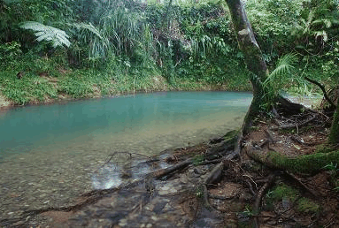 Heritage Lodge And Spa - Tourism Townsville