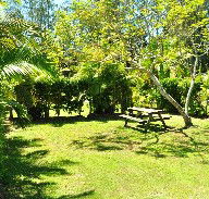 Wooli Caravan Park - Tourism Townsville