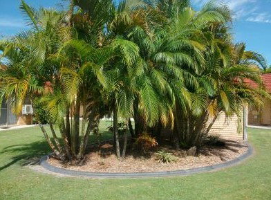 Yamba Motor Inn - Tourism Townsville 5