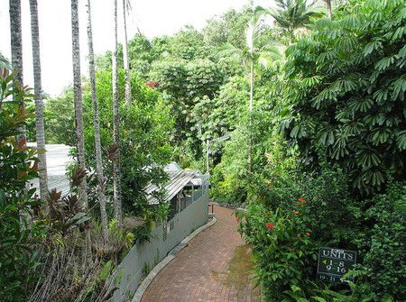 Tree Tops Lodge Cairns - Tourism Townsville 2