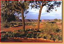 Kings Creek Station - Tourism Townsville 1