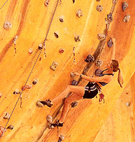 Rocksports Indoor Climbing - Tourism Townsville