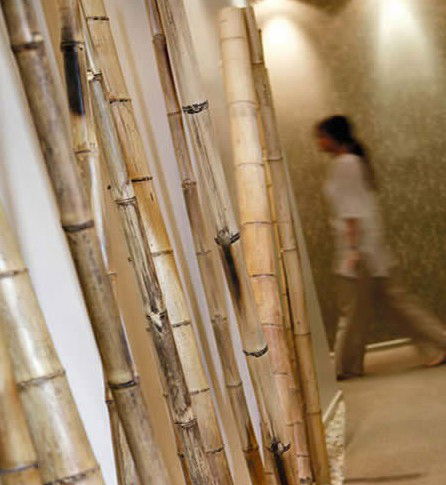 Spa Nirvana - Tourism Townsville 0
