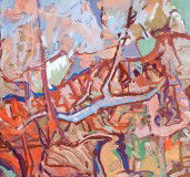 Chapman & Bailey - Tourism Townsville 0