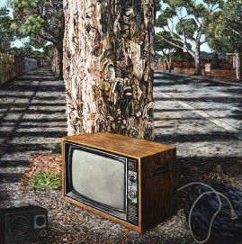 Chapman & Bailey - Tourism Townsville 3