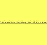 Charles Nodrum Gallery - Tourism Townsville