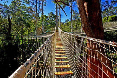 Thunderbird Park - Tourism Townsville 0