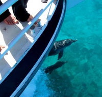 Pelican Charters - Tourism Townsville