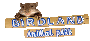 Birdland Animal Park - Tourism Townsville